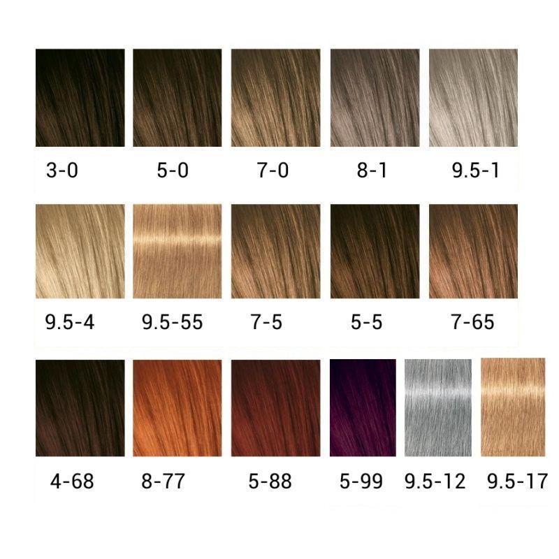 Палитра IGORA EXPERT MOUSSE Палитра IGORA EXPERT MOUSSE